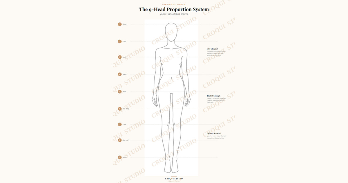 Fashion figure proportion guide illustration